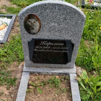 Фотографии наших работ