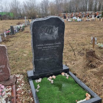 Фотографии наших работ